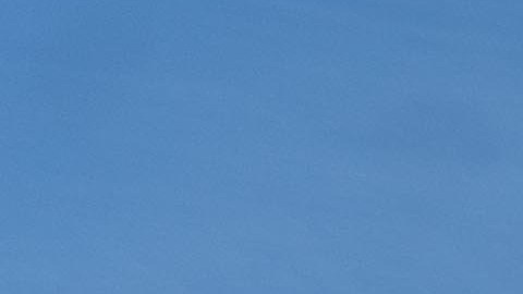 Turista estadounidense de 27 años violada en un baño público frente a la catedral de Notre Dame en París, mientras su novio esperaba afuera