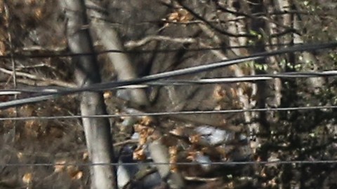 VIDEO: Momento en que estalló una casa en Indiana donde murieron tres personas