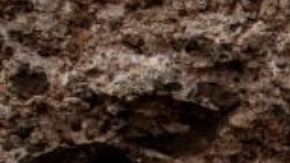 VIDEO Pareja descubre que son hermanos tras más de 10 años de matrimonio