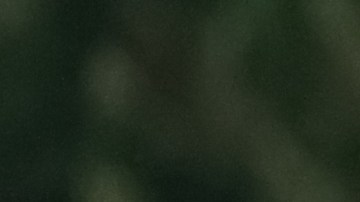 Riqui Puig anotó su primer gol con la casaca del LA Galaxy.