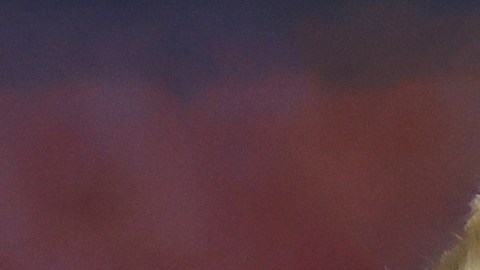 Yeferson Soteldo se perderá el próximo compromiso con Tigres por lesión.Yeferson Soteldo se perderá el próximo compromiso con Tigres por lesión.