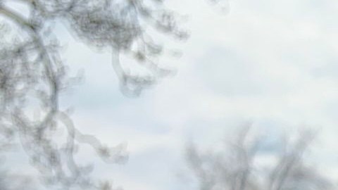 Portada del libro: 'Esclavos Unidos'.