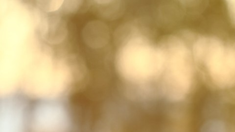 Aumenta la esperanza de vida en EE. UU. luego del descenso por el Covid-19