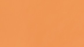 Imagen de una bolsa de galletas de colores blanco, naranja y rosa, frente a un grupo de galletas, cuatro donas apiladas y una calabaza.