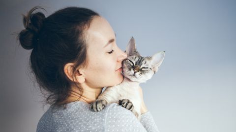 Gatos
