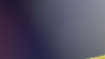 El mundo de los reptiles es fascinante