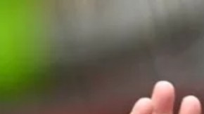 Trump estaba en Nueva York cuando ocurrió el registro de su residencia del sur de Florida.