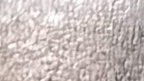 Hipopótamo Zoológico de Cincinnati