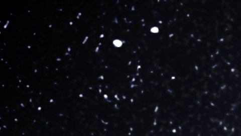 Signos del zodiaco