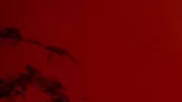 El cambio climático es un factor clave en el aumento de los incendios.