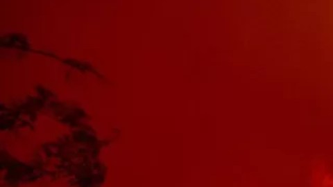 El cambio climático es un factor clave en el aumento de los incendios.