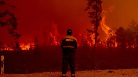 El cambio climático es un factor clave en el aumento de los incendios.