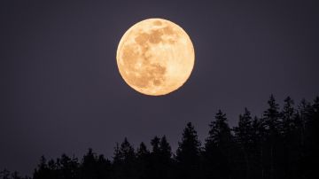 La influencia de la Luna Llena en Virgo se sentirá a partir del 7 y hasta el 21 de marzo