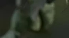 En Brasil se han registrado ataques contra monos.