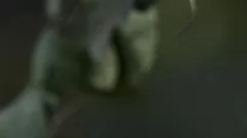 En Brasil se han registrado ataques contra monos.