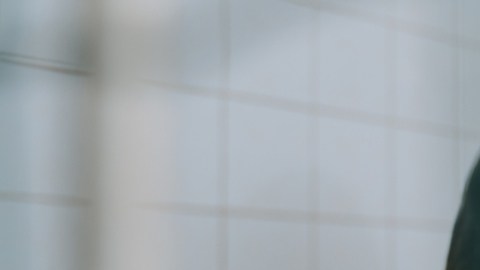 parvovirosis