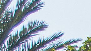 Foto; Joshua Sudock/Disneyland Resort