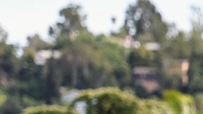 Imagen de un letrero de renta que cuelga en una calle arbolada.