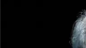 Salman Rushdie fue atacado este viernes cuando se disponía a participar en una charla.