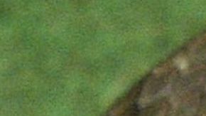 serpiente