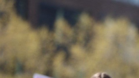Imagen de una persona disfrazada de lobo con un delantal verde de la cadena Starbucks, en una protesta.