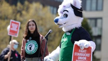 Imagen de una persona disfrazada de lobo con un delantal verde de la cadena Starbucks, en una protesta.