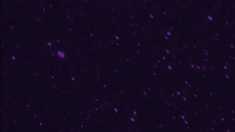 Símbolo de Virgo