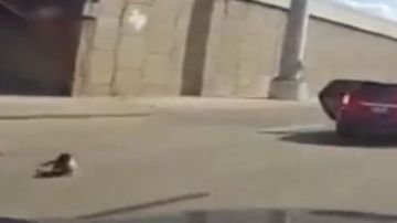 Video captó momento que niño sale volando de una camioneta en plena carretera de Houston