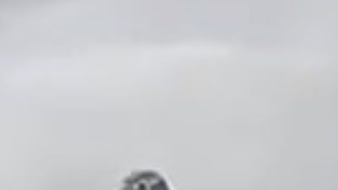 El incidente fue captado en video.