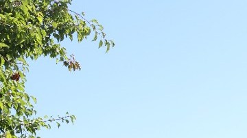 Imagen de un restaurante de la cadena de comida rápida Wendy's.