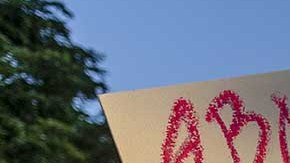 Los republicanos están a favor de prohibir el aborto porque aseguran ser pro-vida.