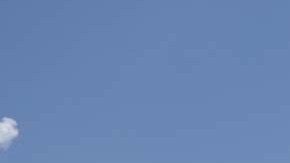 En Carolina del Sur buscan prohibir todos los motivos para abortar.