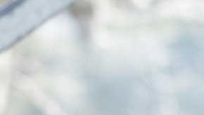 La senadora Collins lucha por los derechos del matrimonio gay.