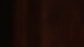 La Reina Isabel de Inglaterra fue la primera monarca británica en dirigirse a los estadounidenses en el Congreso.