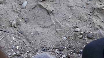 Los niños migrantes tendrán clases que serán válidas por siempre.