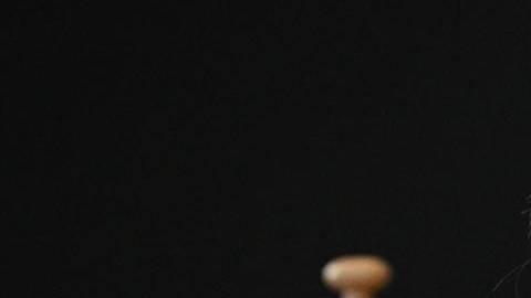 Nancy Pelosi le dice a los periodistas que "menosprecian mis instintos".