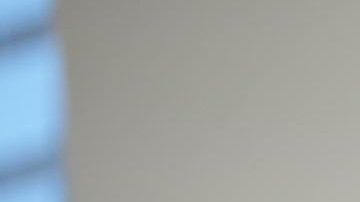 El portavoz del Comité Selecto defiende a Cheney de las declaraciones de los empleados.