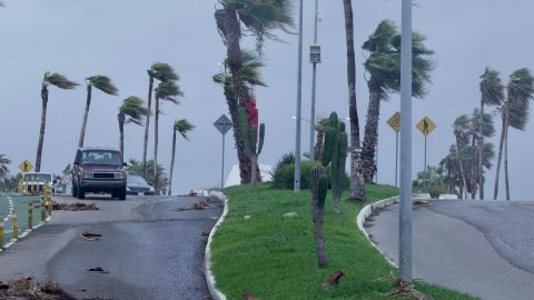 Fotografía de fuertes vientos impactando en unas palmeras debido a la llegada del huracán Kay, hoy, en Los Cabos (México). El huracán Kay de categoría 2 en la escala Saffir-Simpson paralizó este miércoles el turismo del estado mexicano de Baja California Sur, que alberga al popular destino de Los Cabos, y dejó más de 1.000 personas refugiadas. EFE/ Jorge Reyes