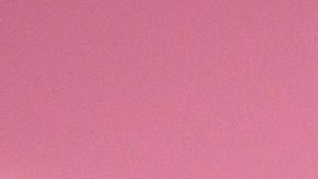 Belinda se va de vacaciones a la playa | Mezcalent.