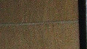 Marco Antonio Regil | Mezcalent.