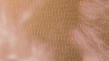 Humberto Zurita | Mezcalent.