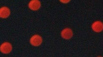 Alejandro Fernández.