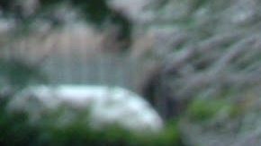 Ivonne Montero | Mezcalent.