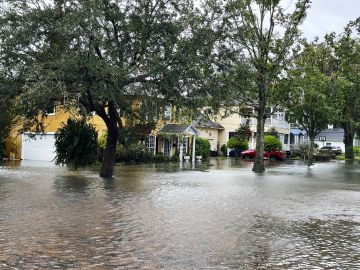 Huracán Ian: Autoridades en Florida advierten de caimanes y serpientes en las calles tras inundaciones