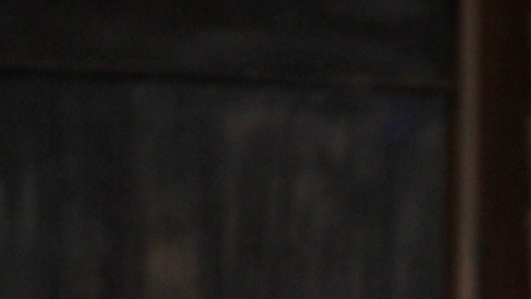 Ignacio López Tarso | Mezcalent.