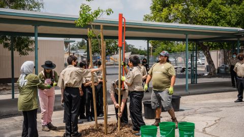 Estudiantes plantan un árbol en escuela de Pacoima.
