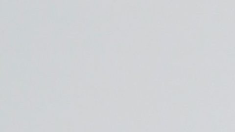 Danna Paola | Mezcalent.