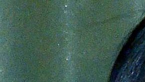 América Guinart | Mezcalent.