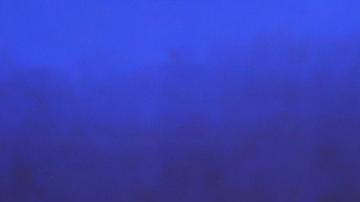 Empresarios de El Salvador rechazan reelección de Bukele