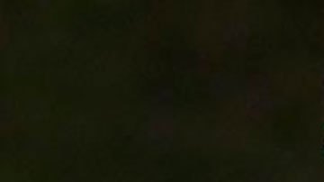 Expresidentes piden a la OEA actuar ante posible reelección de Nayib Bukele